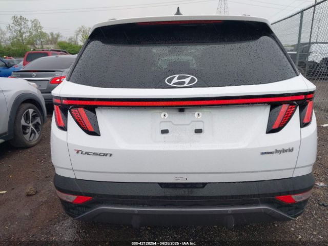 KM8JECD18RU184602 Hyundai Tucson Hybrid Limited