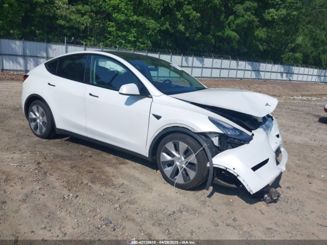 2021 TESLA MODEL Y 5YJYGDED4MF192824