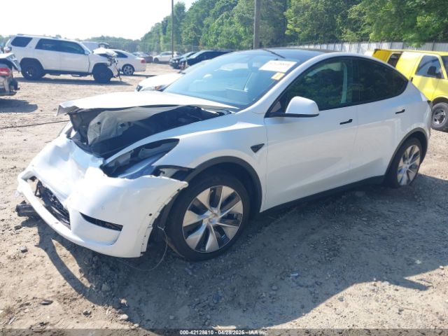 2021 TESLA MODEL Y 5YJYGDED4MF192824 Photo 1