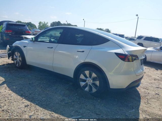 2021 TESLA MODEL Y 5YJYGDED4MF192824 Photo 2
