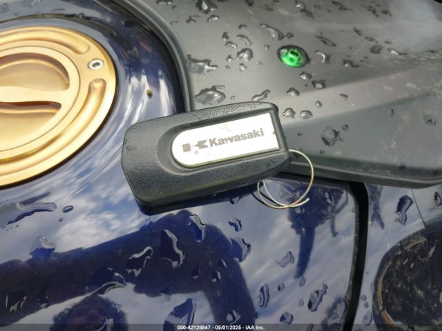 2010 KAWASAKI ZG1400 JKBZGNC17AA000244 Photo 10