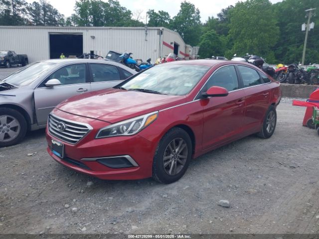 5NPE24AF1GH410247 Hyundai Sonata