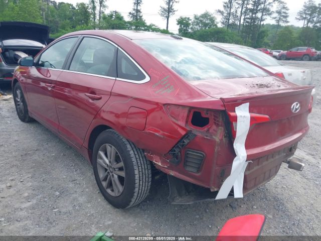 5NPE24AF1GH410247 Hyundai Sonata