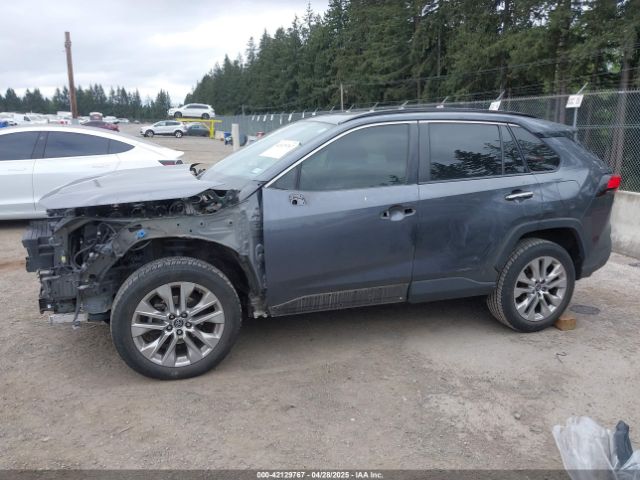 JTMY1RFV6KD031787 Toyota Rav4 Limited