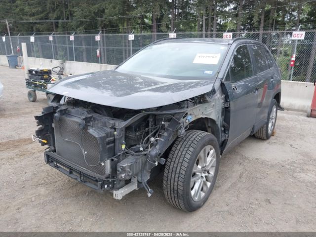 JTMY1RFV6KD031787 Toyota Rav4 Limited