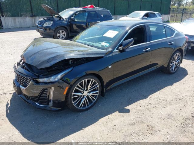 1G6DT5RK2R0131439 Cadillac Ct5 Premium Luxury