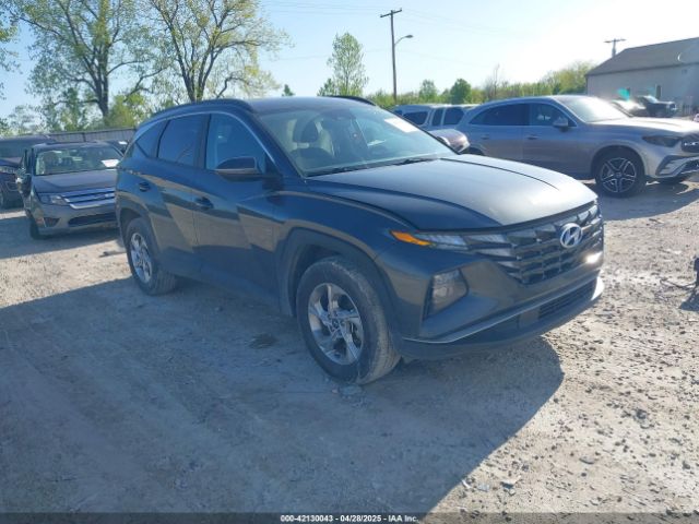 2023 HYUNDAI TUCSON 5NMJBCAE6PH294007