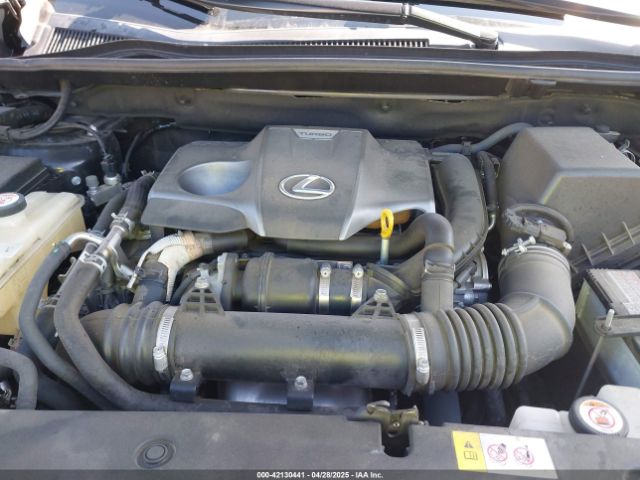 JTJYARBZ5J2113798 Lexus NX 300