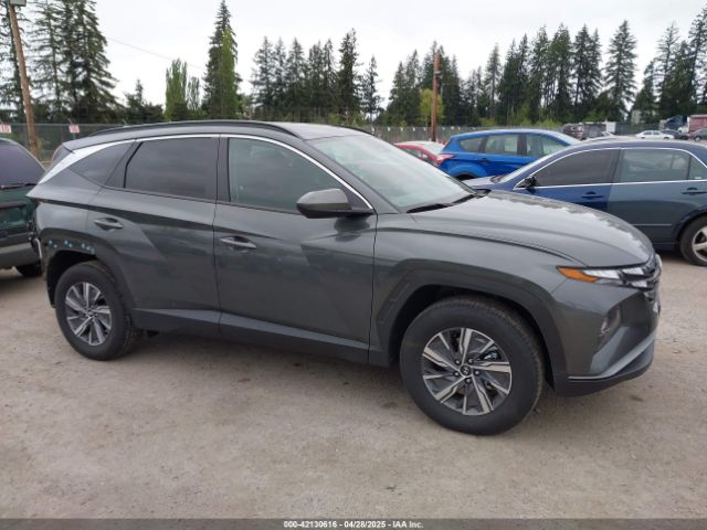 KM8JBCD14RU209620 Hyundai Tucson Hybrid Blue