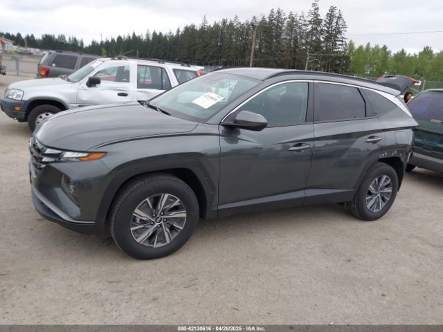 KM8JBCD14RU209620 Hyundai Tucson Hybrid Blue