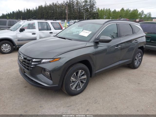KM8JBCD14RU209620 Hyundai Tucson Hybrid Blue