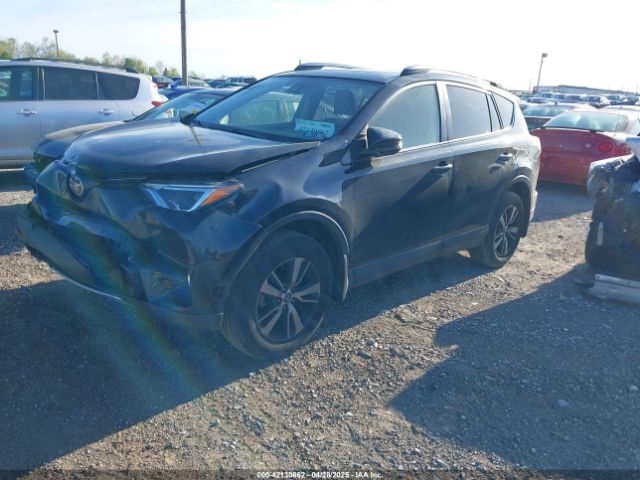 JTMRFREV9HD204816 Toyota Rav4 Xle