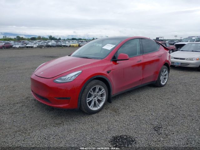 2023 TESLA MODEL Y 7SAYGDEE9PA145947 Photo 1