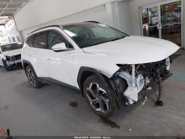 Hyundai Tucson Limited 2024 5NMJE3DE3RH398587 Image 13