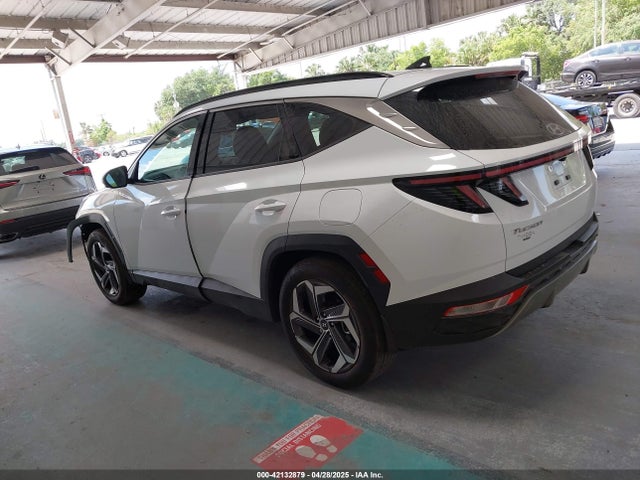 Hyundai Tucson Limited 2024 5NMJE3DE3RH398587 Image 14