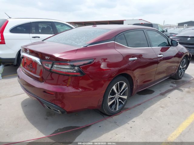 2020 NISSAN MAXIMA 1N4AA6CV3LC386062 Photo 3