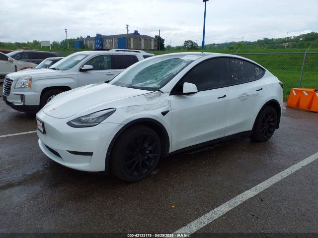 2020 TESLA MODEL Y 5YJYGDEE8LF012994 Photo 1
