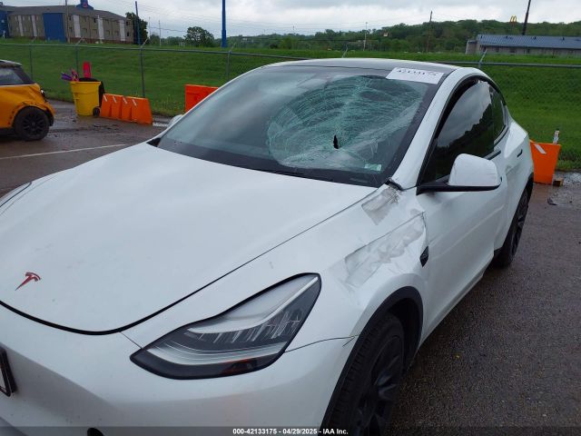 2020 TESLA MODEL Y 5YJYGDEE8LF012994 Photo 5