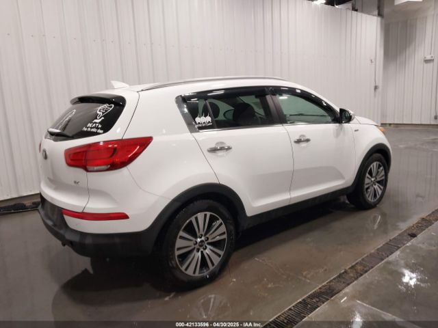 KNDPCCAC6F7786029 KIA Sportage Ex