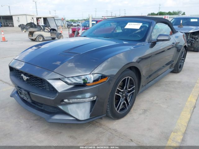 2019 FORD MUSTANG 1FATP8UH4K5161454 Photo 1