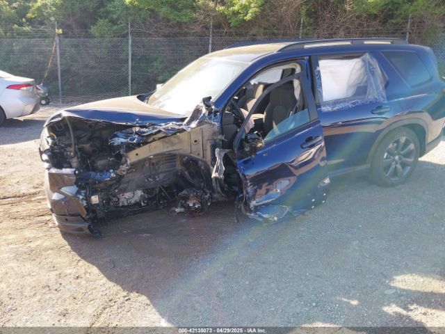 5FNYG1H30SB100980 Honda Pilot Sport