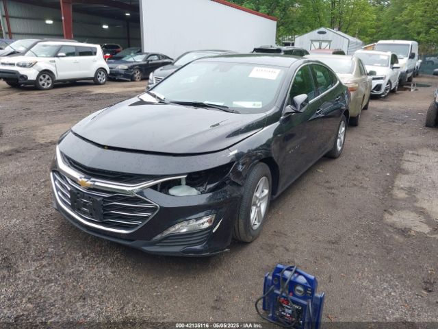 1G1ZD5ST7PF239559 Chevrolet Malibu Fwd 1lt