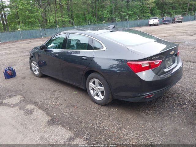 1G1ZD5ST7PF239559 Chevrolet Malibu Fwd 1lt