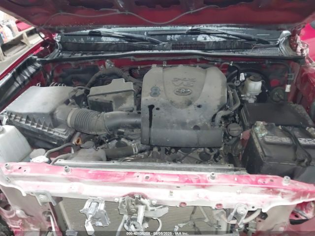3TMDZ5BN0KM076850 Toyota Tacoma Trd Sport