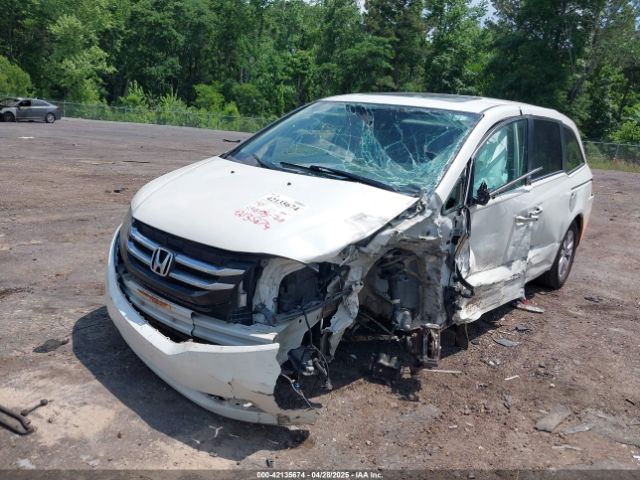 5FNRL5H68GB010923 Honda Odyssey Ex-l