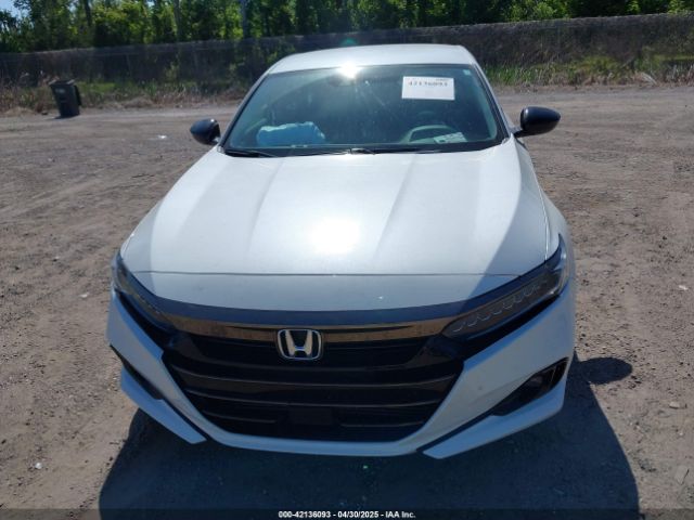 1HGCV1F47MA053035 Honda Accord Sport Special Edition