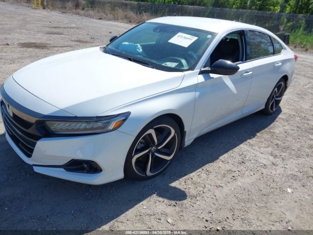 1HGCV1F47MA053035 Honda Accord Sport Special Edition