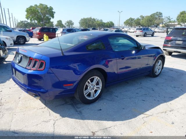 2013 FORD MUSTANG 1ZVBP8AM5D5262560 Photo 3