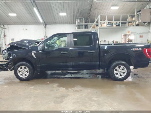 1FTEW1EP8MKE36959 Ford F-150 Xlt