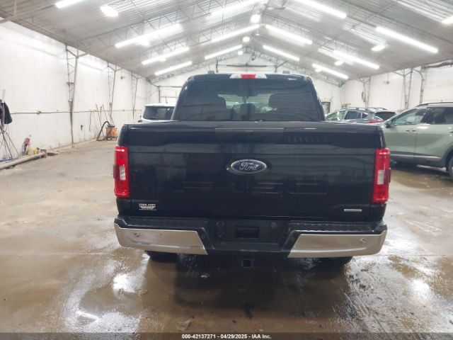 1FTEW1EP8MKE36959 Ford F-150 Xlt