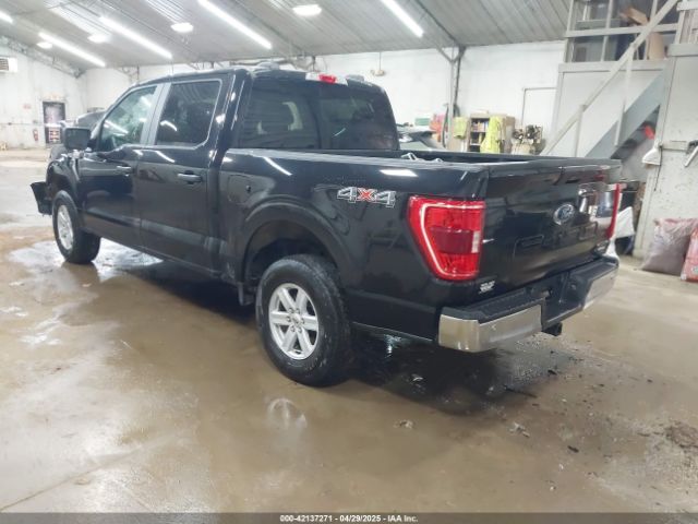 1FTEW1EP8MKE36959 Ford F-150 Xlt