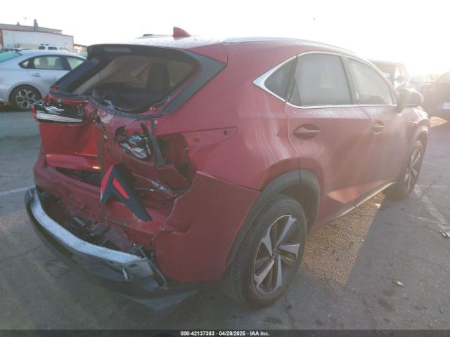 2021 LEXUS NX 300 JTJGARBZXM5027773 Photo 3