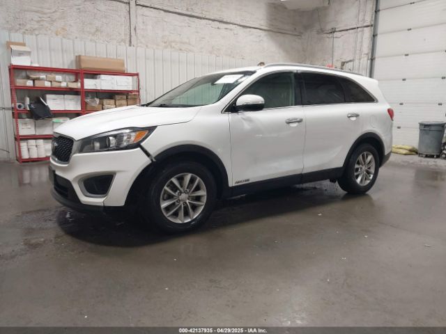5XYPGDA51GG047781 KIA Sorento 3.3l Lx