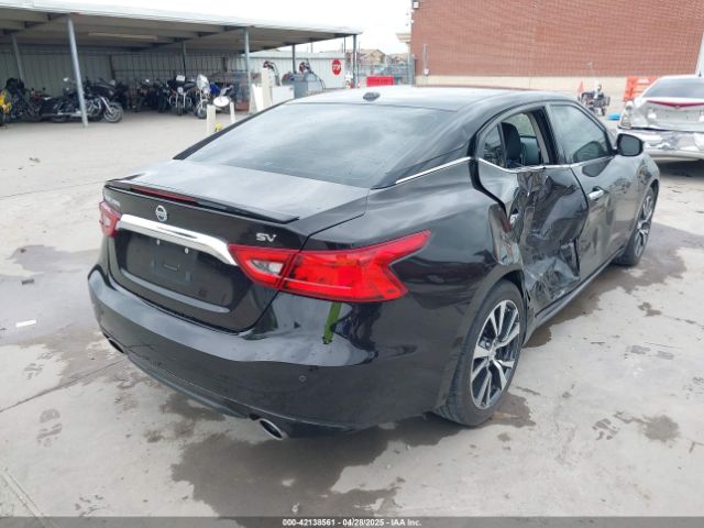 1N4AA6APXGC388692 Nissan Maxima 3.5 Sv