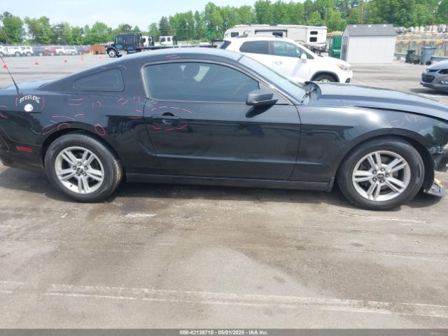 1ZVBP8AM2E5331285 Ford Mustang V6