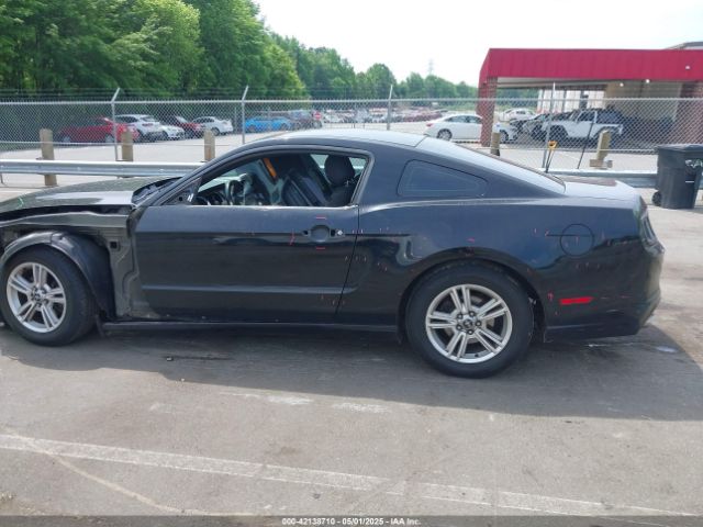 1ZVBP8AM2E5331285 Ford Mustang V6