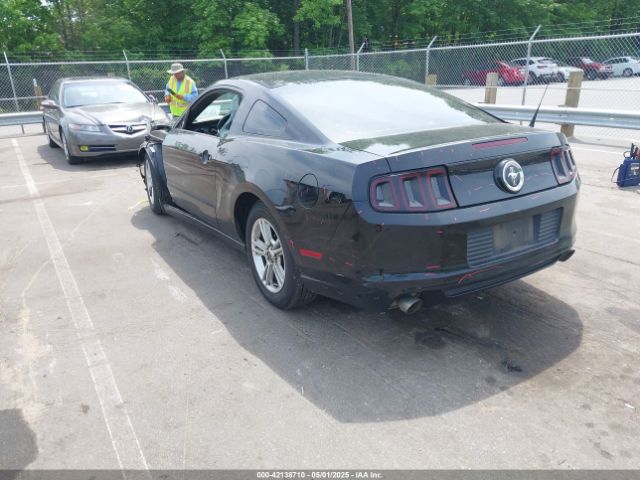 1ZVBP8AM2E5331285 Ford Mustang V6