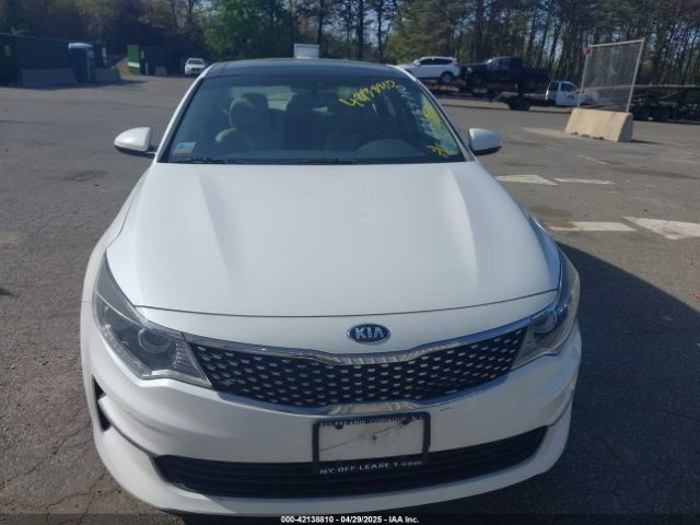5XXGU4L32GG070138 KIA OPTIMA EX