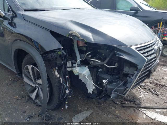 JTJGARDZ3M2249764 Lexus NX 300