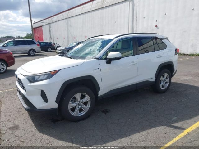 2T3MWRFV5KW031654 Toyota Rav4 Hybrid Le