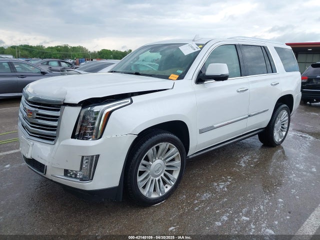 2016 CADILLAC ESCALADE 1GYS4DKJ4GR278748 Photo 1