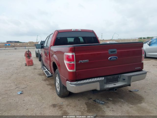 1FTEW1CM5EKD18815 Ford F-150 Xlt