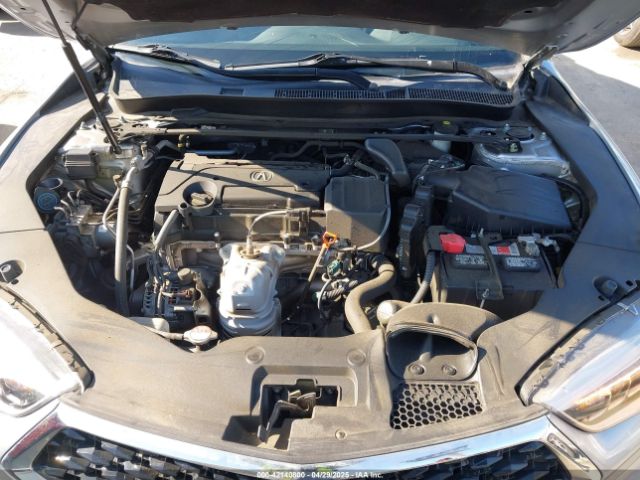 19UUB1F37LA007627 Acura Tlx Standard