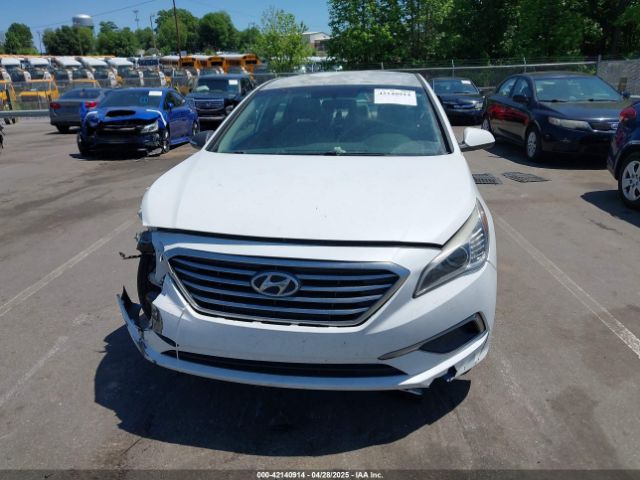 5NPE24AF8HH511593 Hyundai Sonata