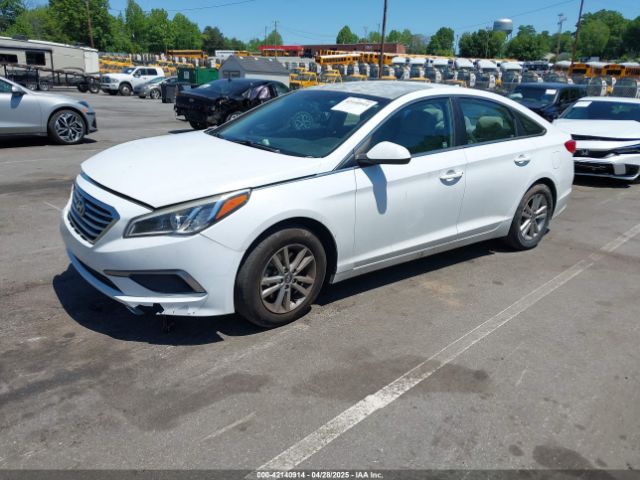 5NPE24AF8HH511593 Hyundai Sonata