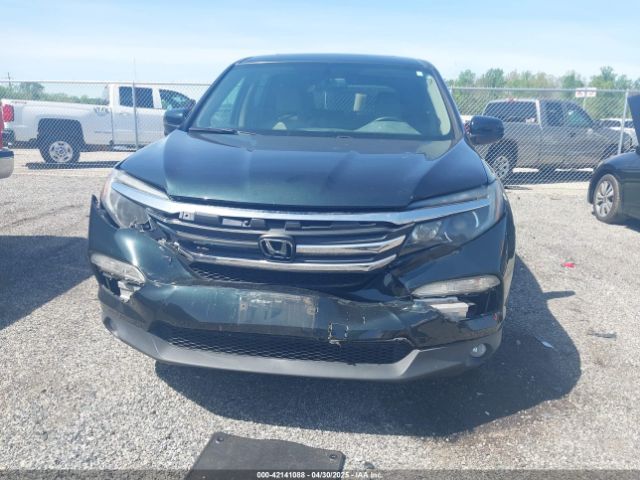 5FNYF6H51HB091555 Honda Pilot Ex-l